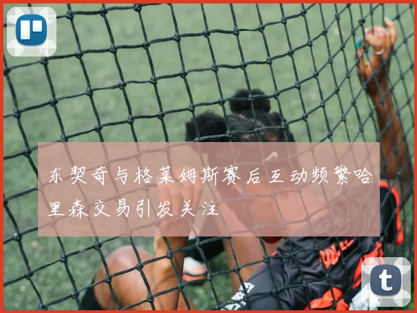 东契奇与格莱姆斯赛后互动频繁哈里森交易引发关注